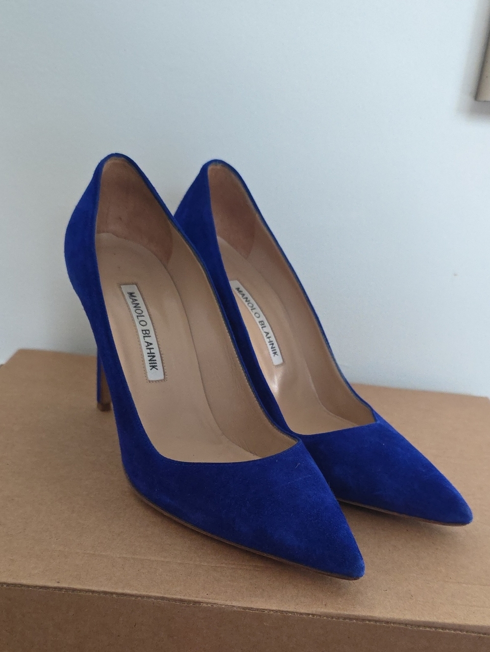 Manolo Blahnik Royal Blue Suede Pointed-Toe Pumps